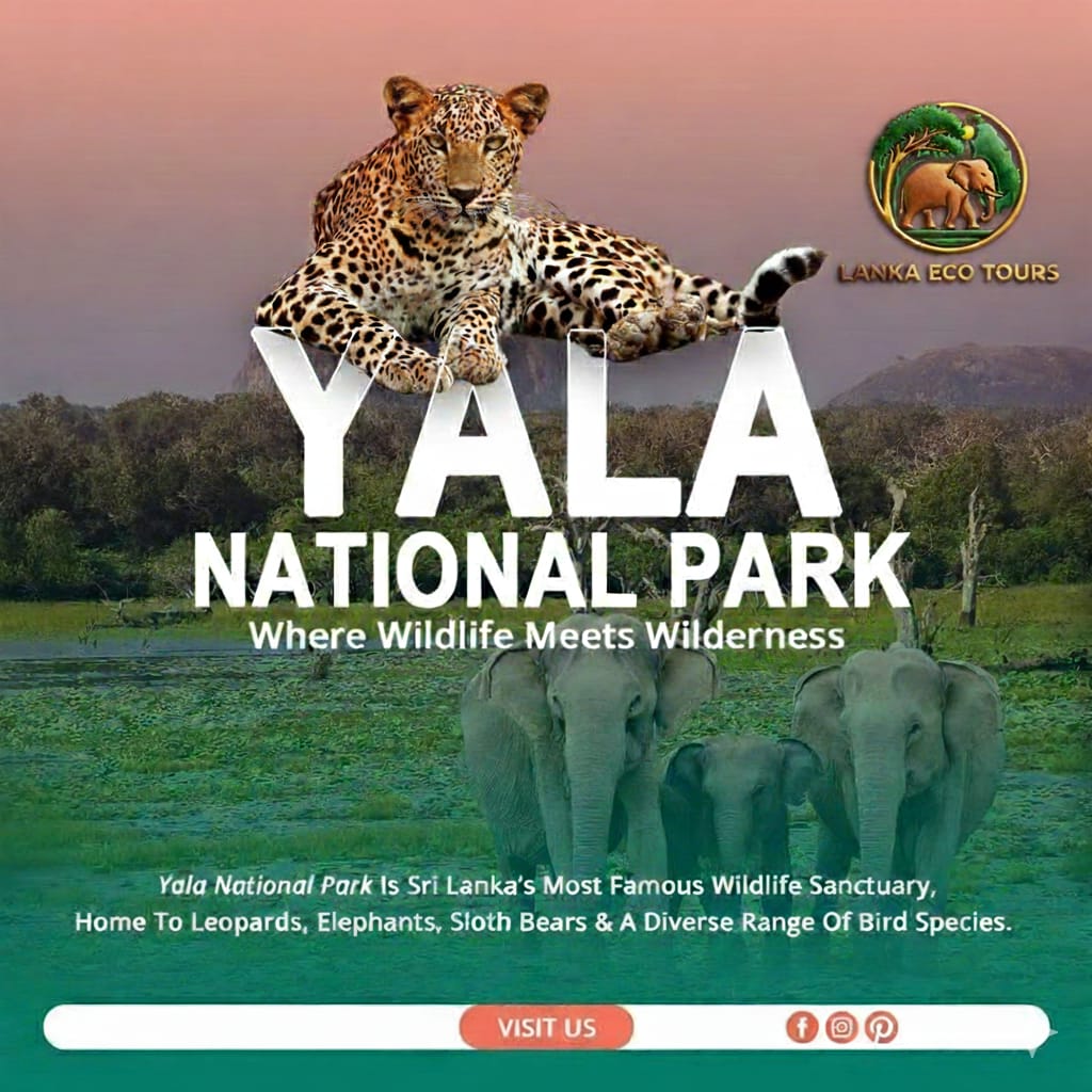 3-Day Wildlife Safari & Nature Trails Adventure