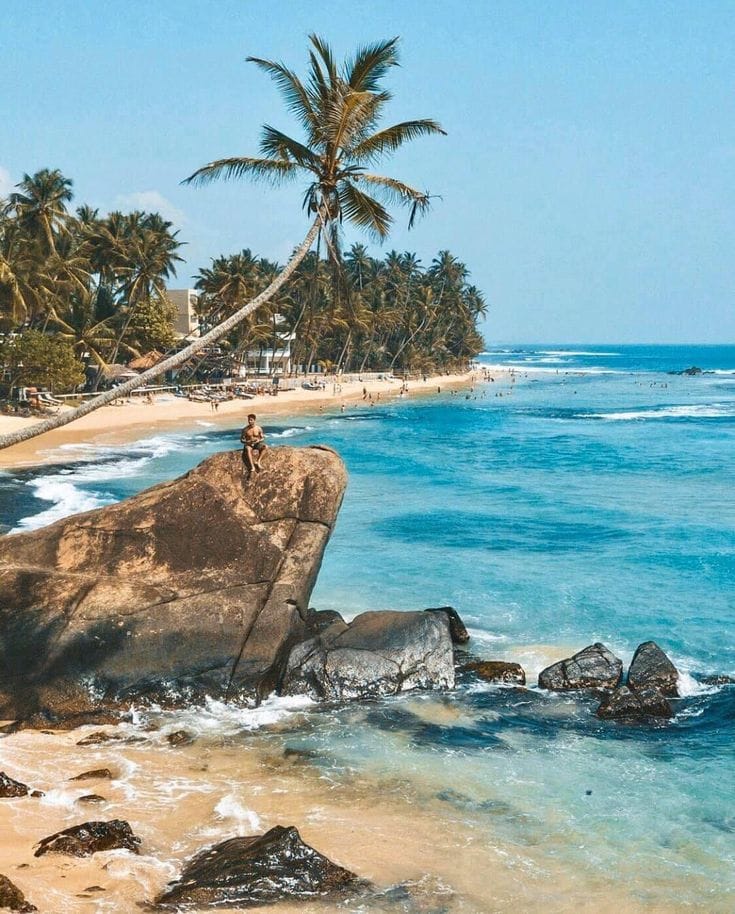 7-Day Classic Sri Lanka Tour: Beaches, Culture & Nature